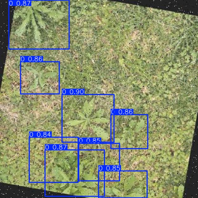 Annotated Image