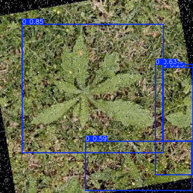 Annotated Image