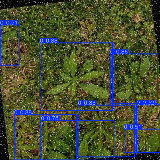 Annotated Image