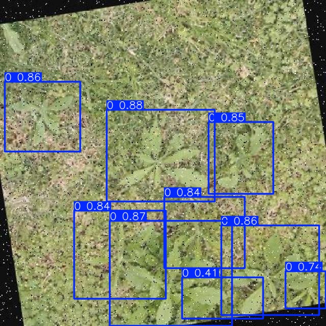 Annotated Image