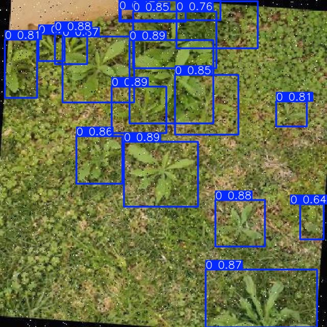 Annotated Image