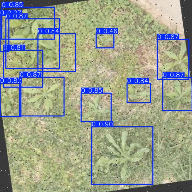 Annotated Image