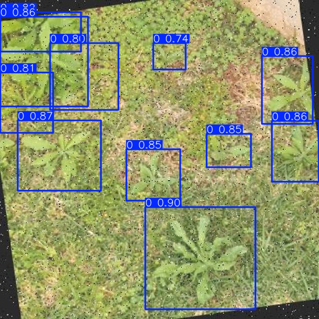 Annotated Image