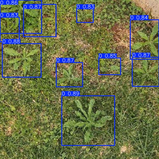 Annotated Image
