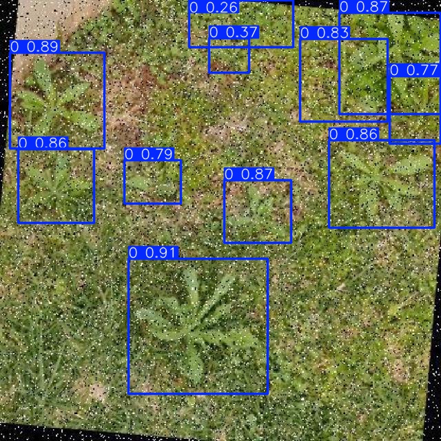 Annotated Image