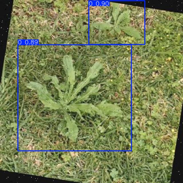 Annotated Image
