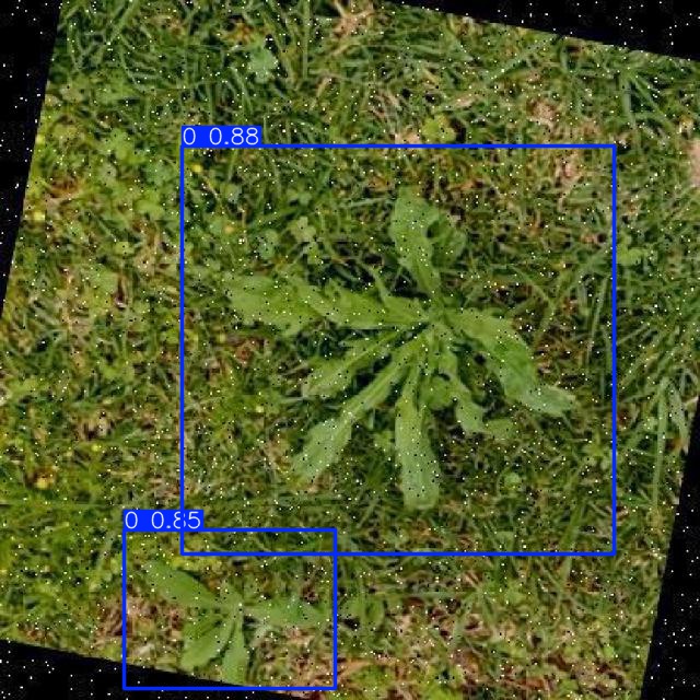 Annotated Image