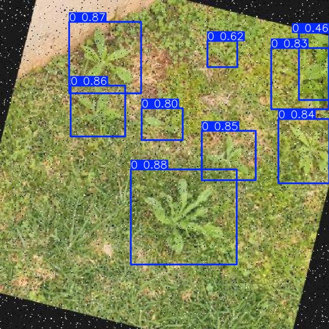 Annotated Image