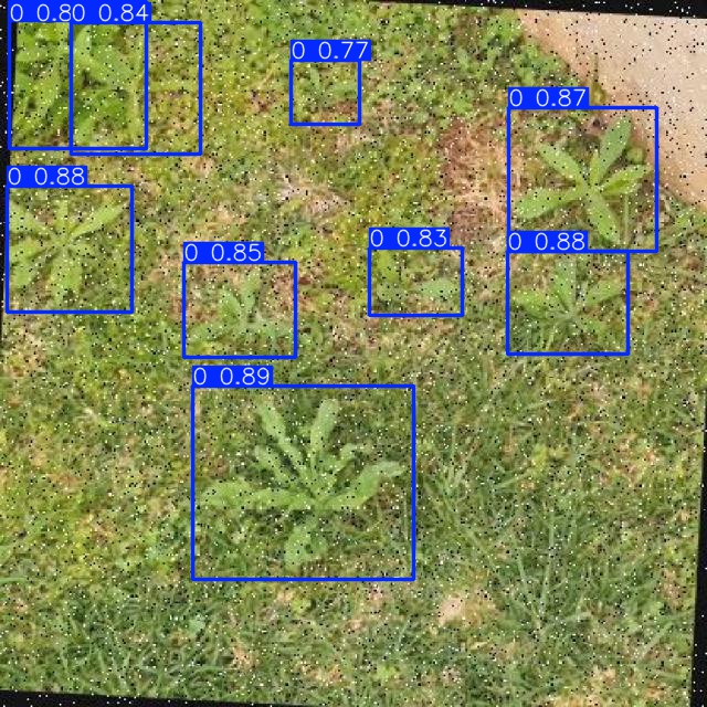 Annotated Image
