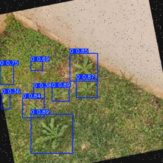 Annotated Image