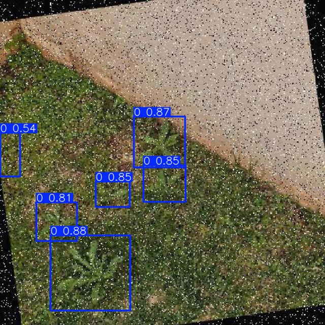 Annotated Image