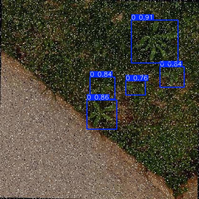Annotated Image