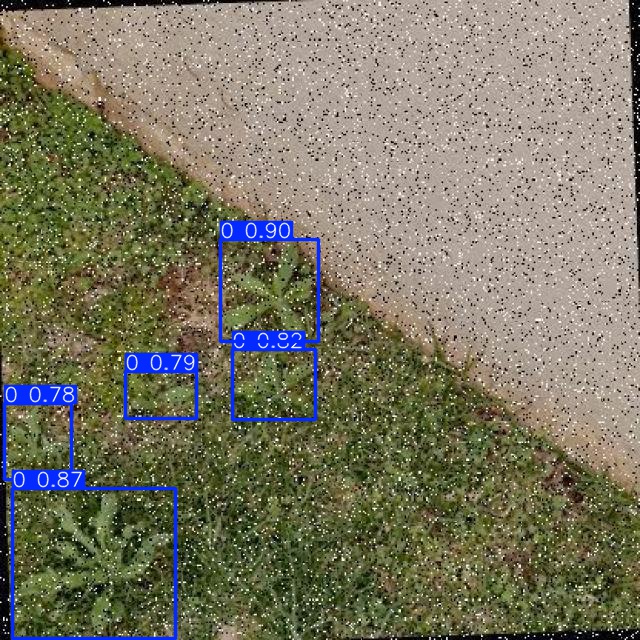 Annotated Image
