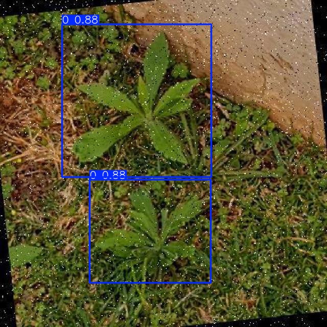 Annotated Image