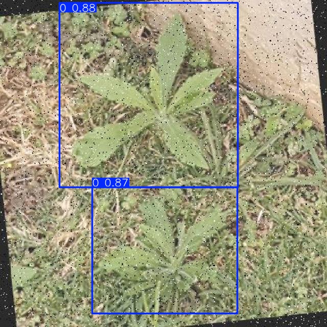 Annotated Image