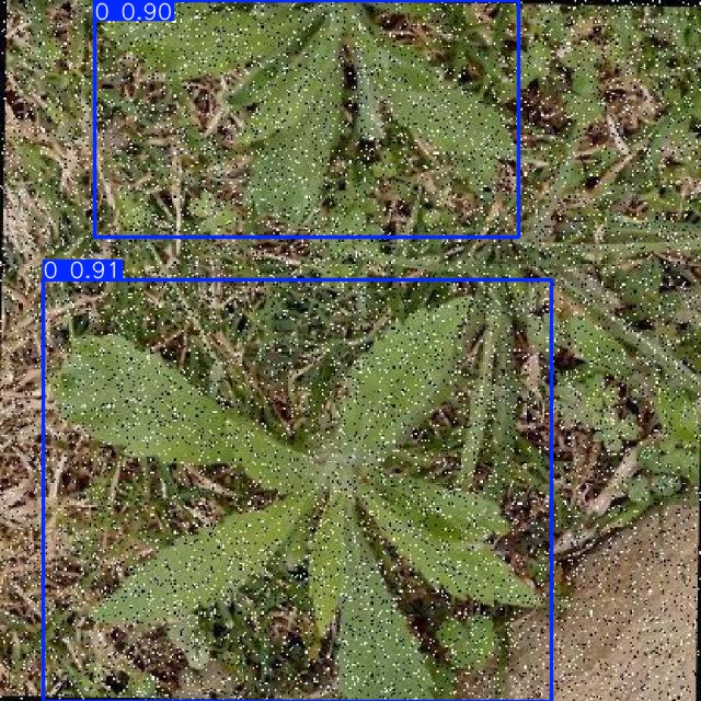 Annotated Image