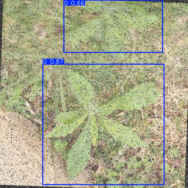 Annotated Image