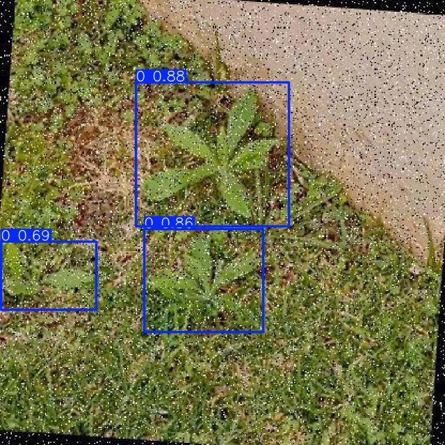 Annotated Image