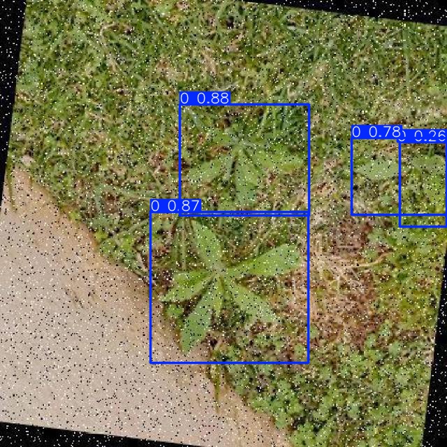 Annotated Image