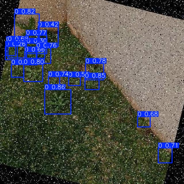 Annotated Image