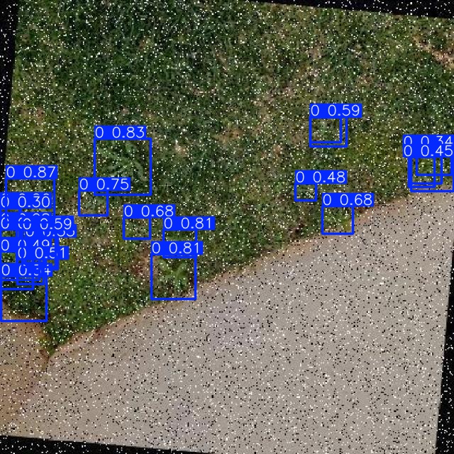 Annotated Image