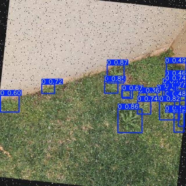 Annotated Image