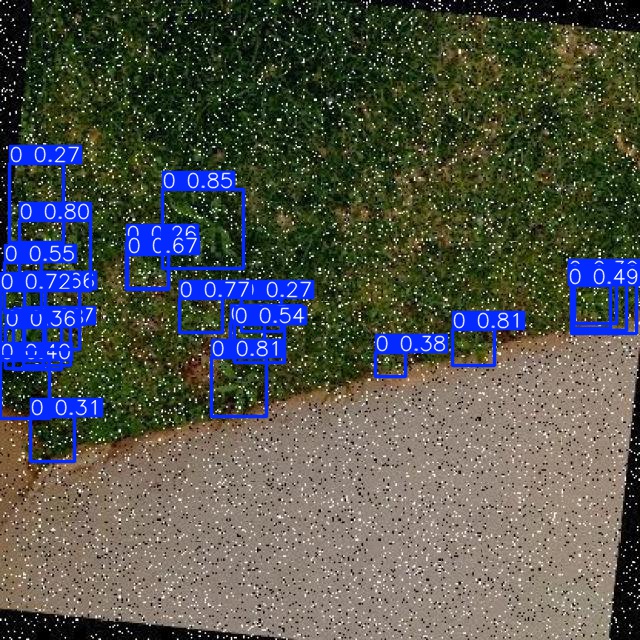 Annotated Image