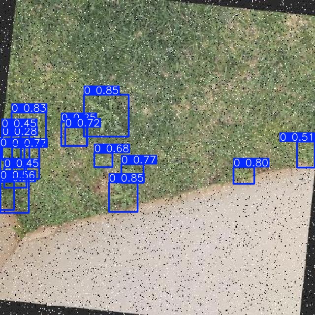 Annotated Image