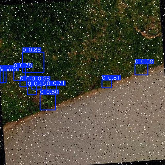 Annotated Image