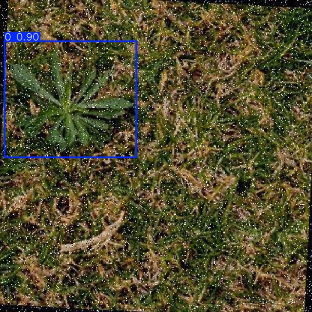 Annotated Image