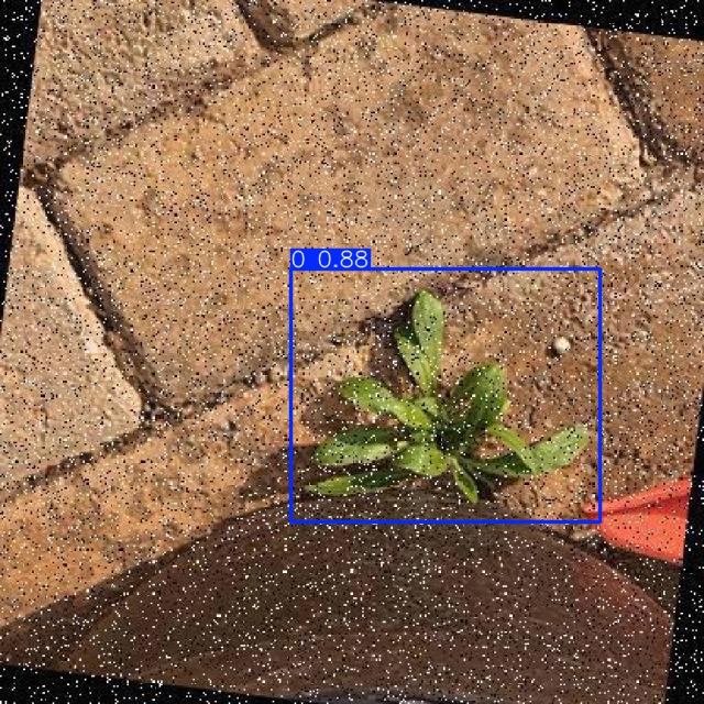 Annotated Image