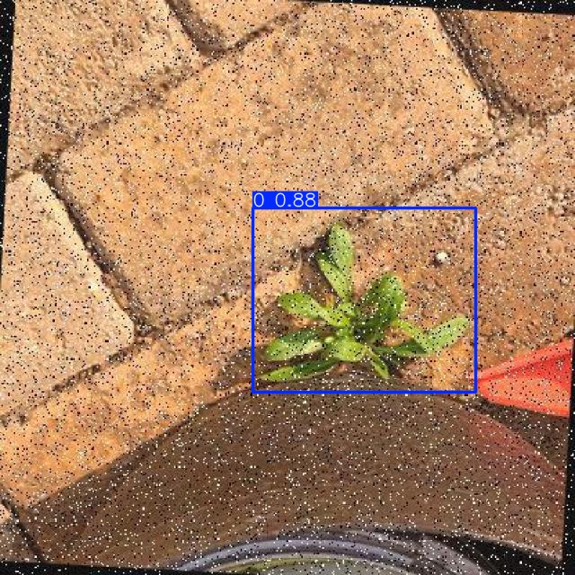 Annotated Image