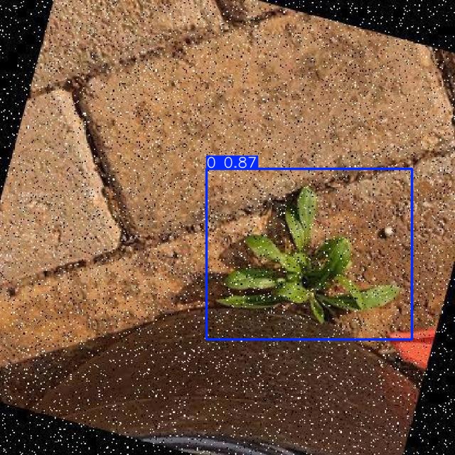 Annotated Image
