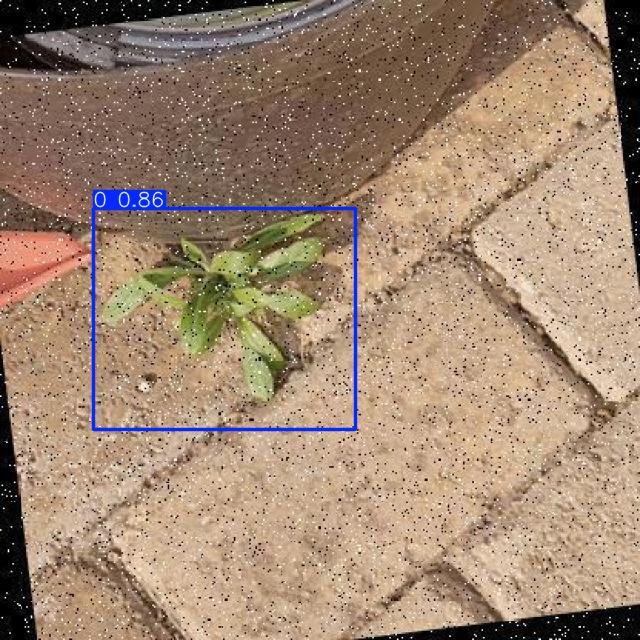 Annotated Image