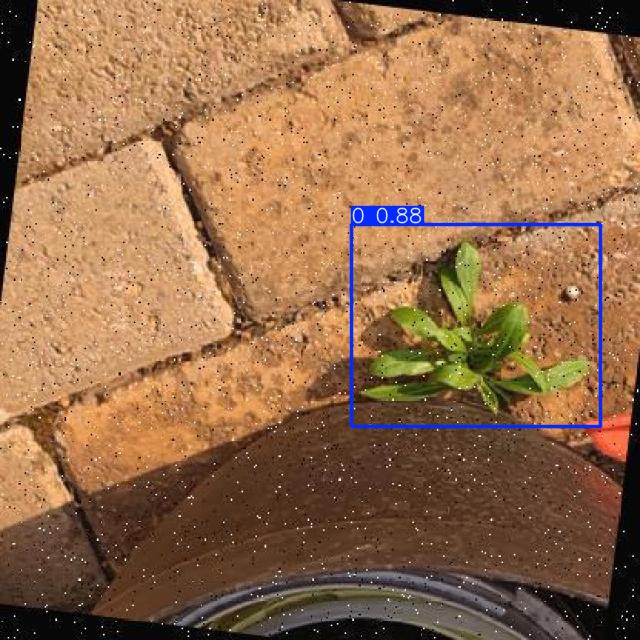 Annotated Image