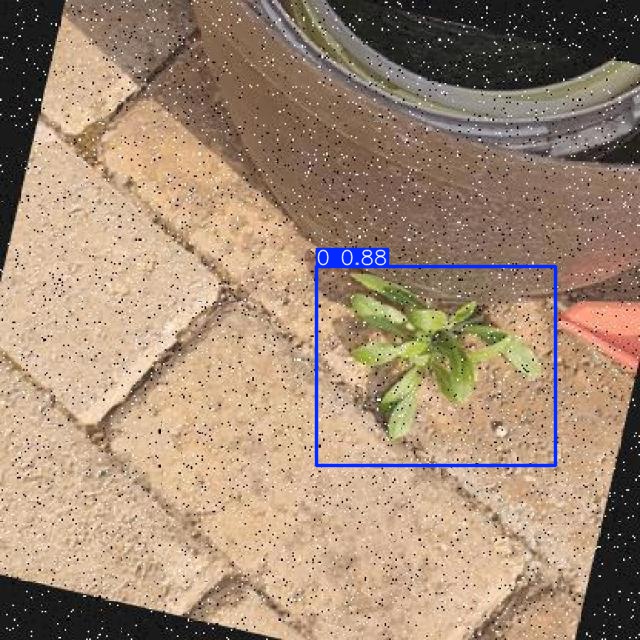 Annotated Image