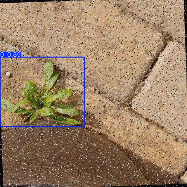 Annotated Image