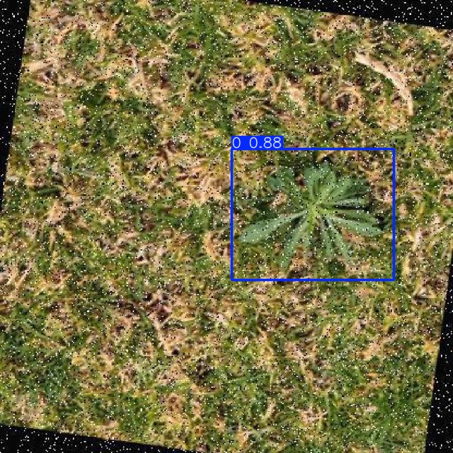 Annotated Image