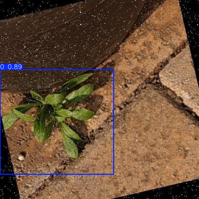 Annotated Image