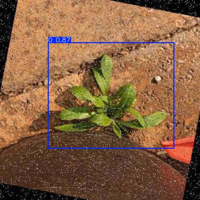 Annotated Image
