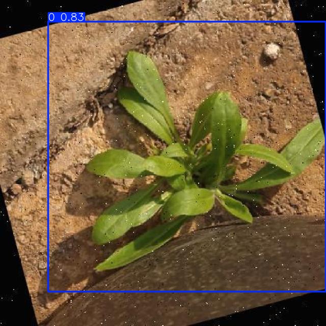 Annotated Image