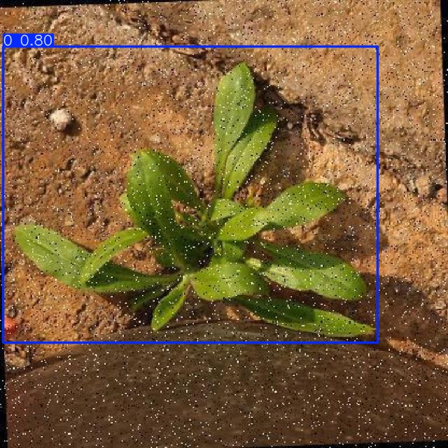 Annotated Image