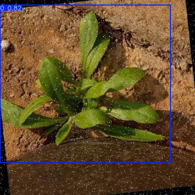 Annotated Image