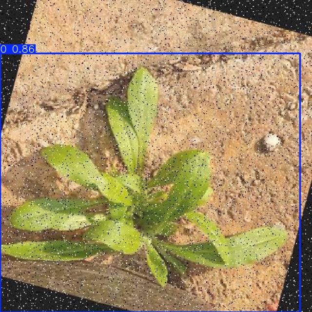 Annotated Image