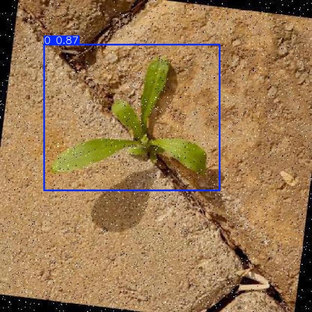 Annotated Image