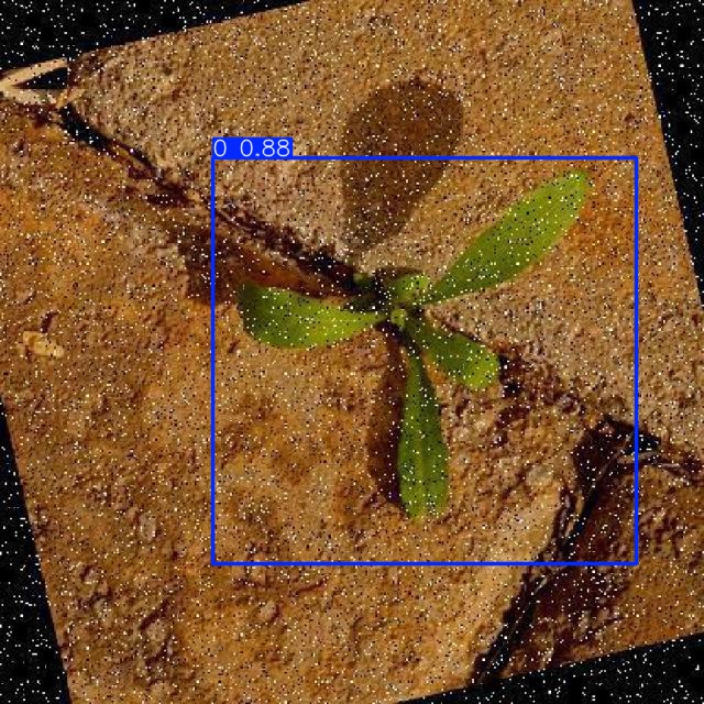 Annotated Image