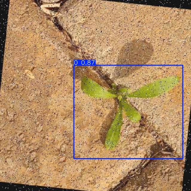 Annotated Image