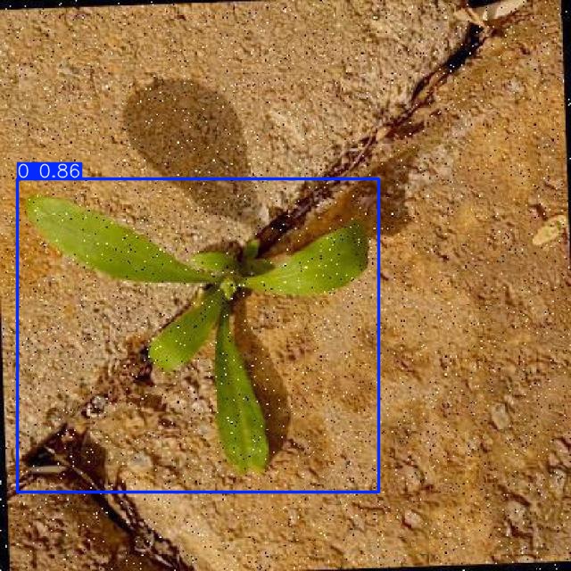 Annotated Image