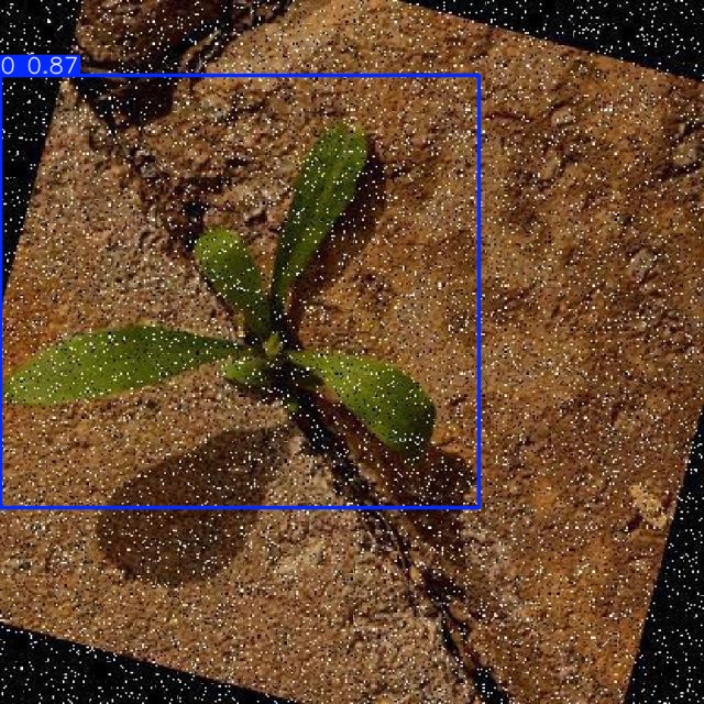 Annotated Image