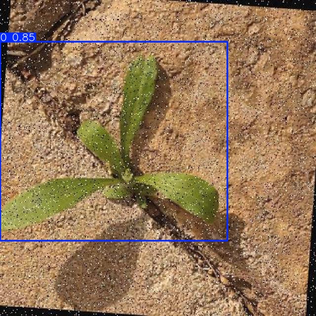 Annotated Image